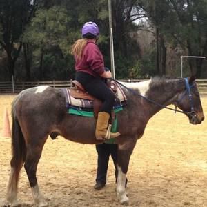 Meet your Posher, Kyleigh